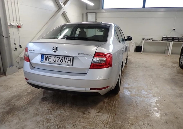 Skoda Octavia cena 56900 przebieg: 119000, rok produkcji 2018 z Sochaczew małe 254